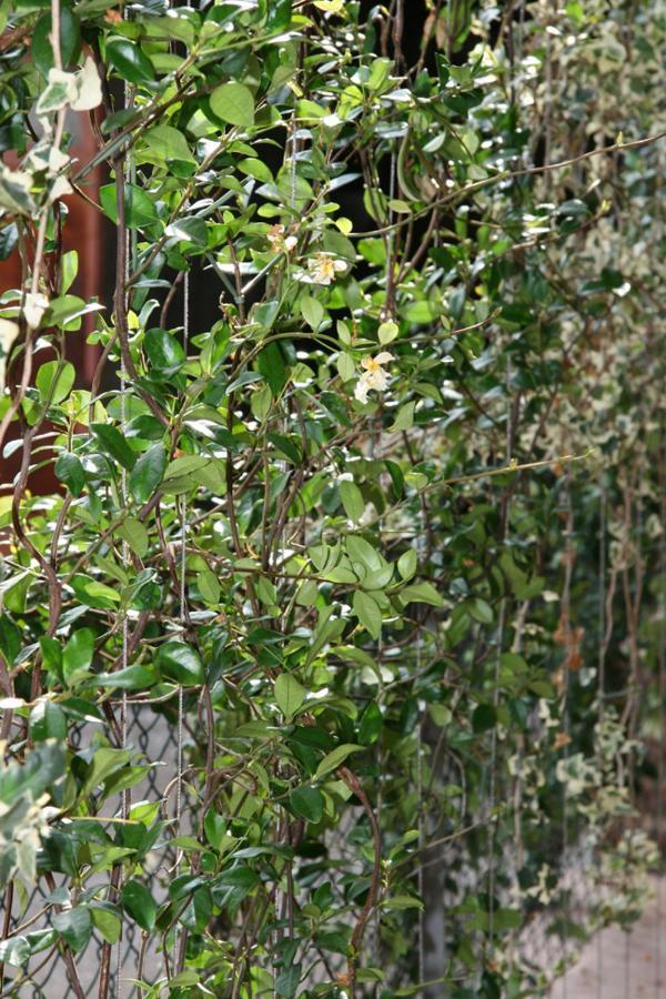 Le Tre Arti B&B San Zenone Exteriér fotografie